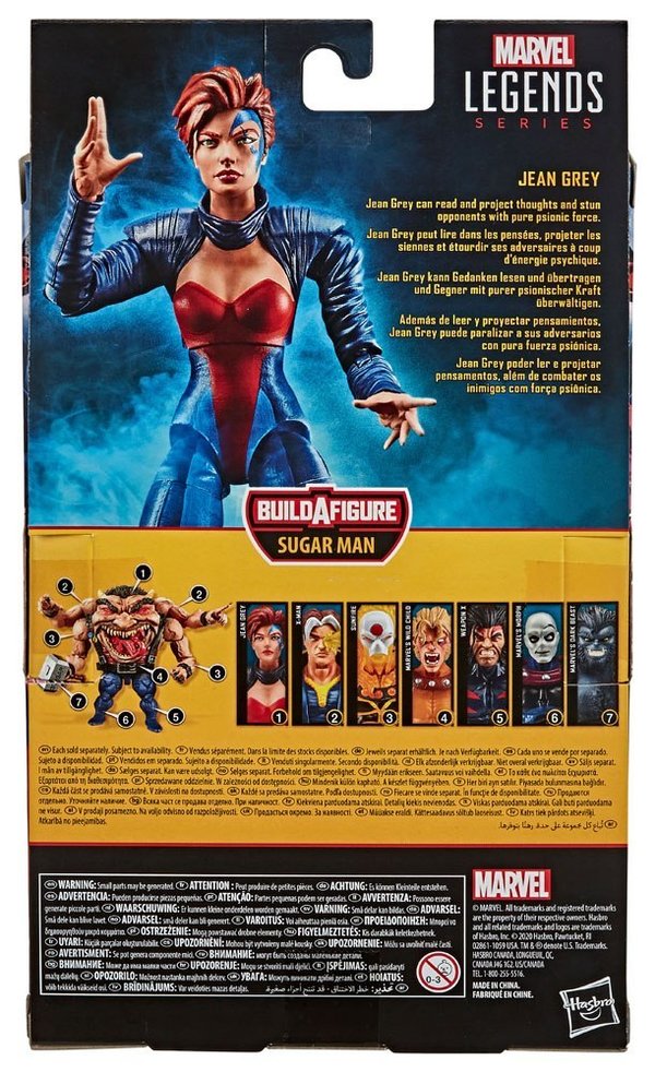 Hasbro Marvel Legends Series X-Men: Age of Apocalypse Actionfigur 2020 Jean Grey